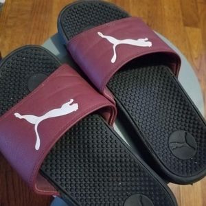 Puma slides
